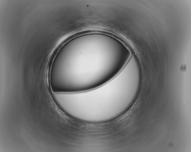 X0000096391272200801241108