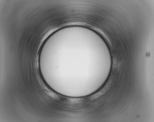 X0000096391274200801241108