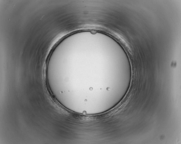 X0000096391275200801241108