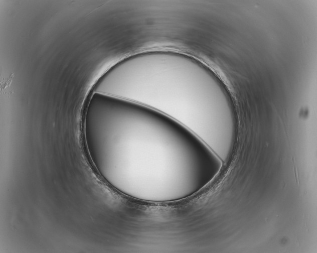 X0000096391277200801241108