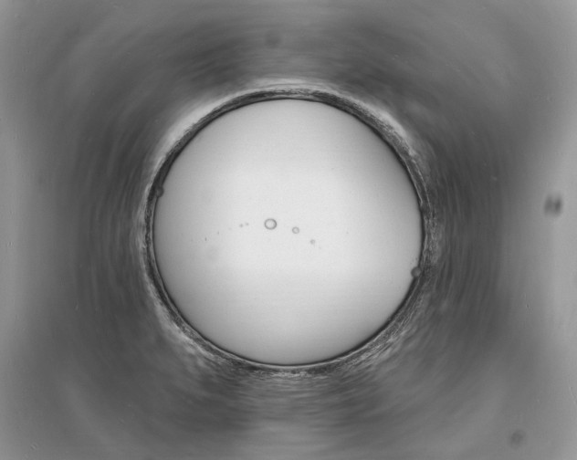 X0000096391279200801241108