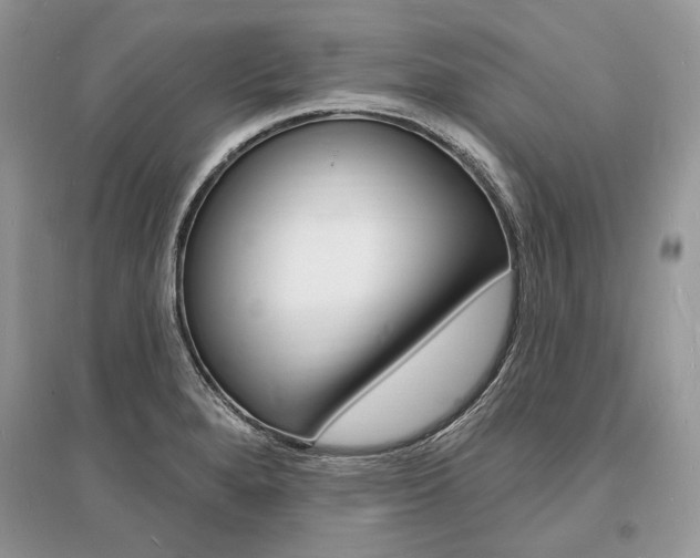 X0000096391280200801241108