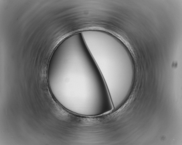 X0000096391281200801241108