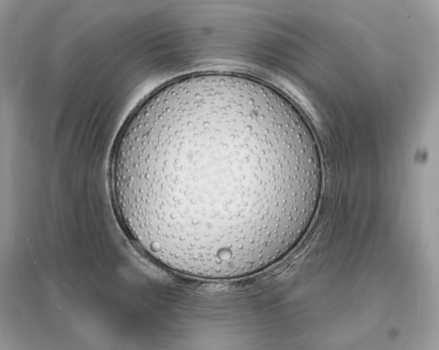 X0000096391283200801241108