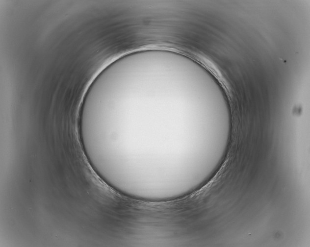 X0000096391284200801241108
