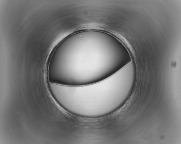 X0000096391285200801241108
