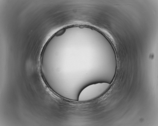 X0000096391287200801241108