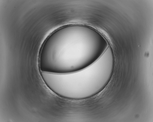 X0000096391288200801241108