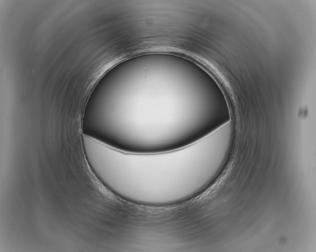 X0000096391289200801241108