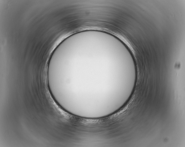X0000096391290200801241108