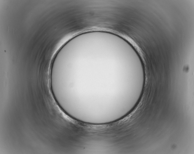 X0000096391294200801241108