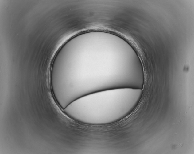 X0000096391295200801241108
