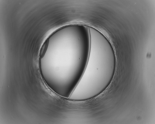 X0000096391296200801241108