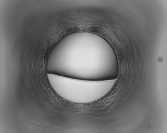X0000096391298200801241107