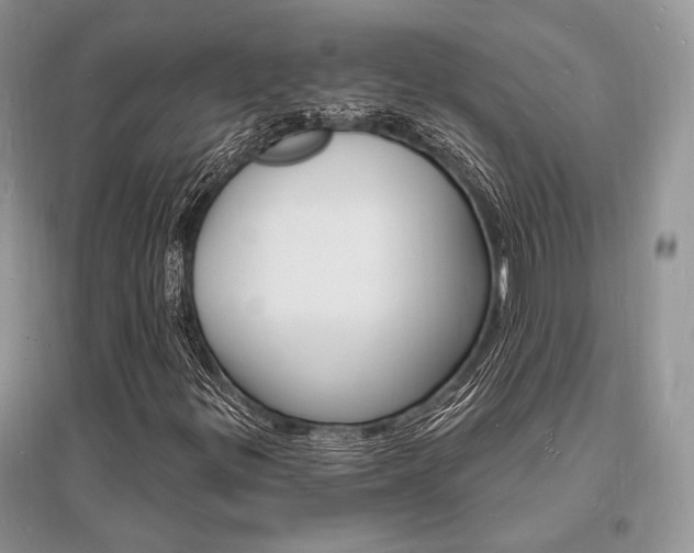X0000096391299200801241107