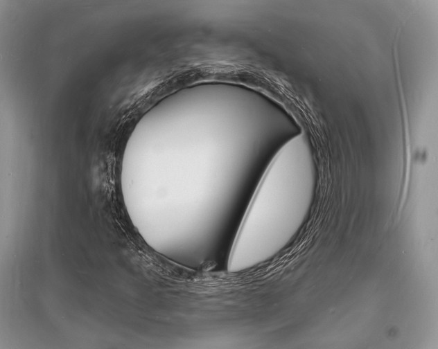 X0000096391301200801241107