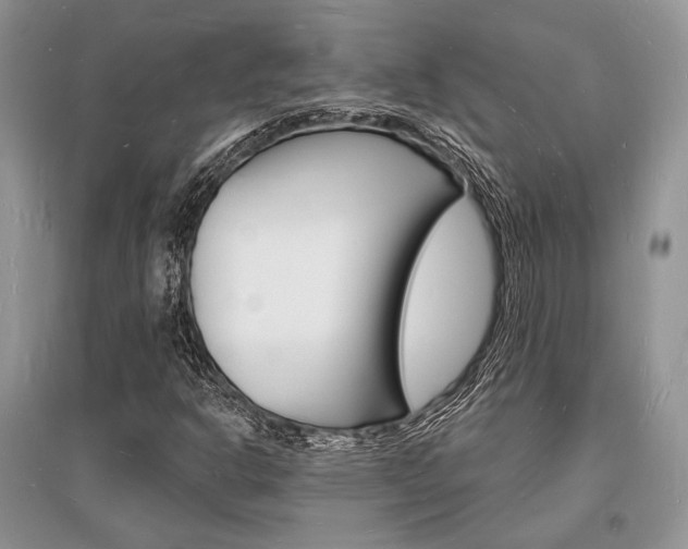 X0000096391302200801241107