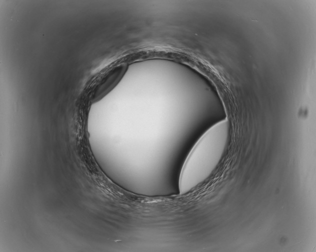 X0000096391303200801241107