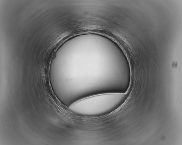 X0000096391305200801241107