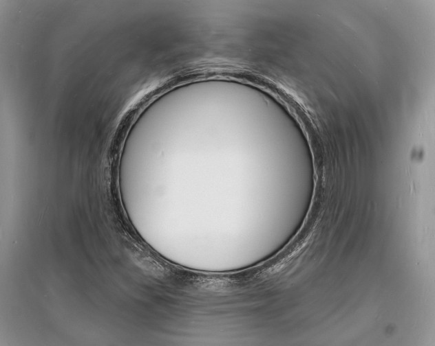 X0000096391309200801241107