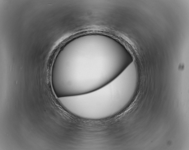 X0000096391310200801241107