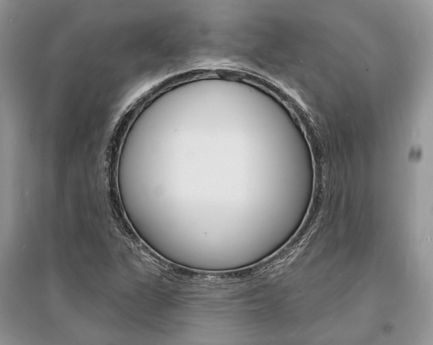 X0000096391311200801241107