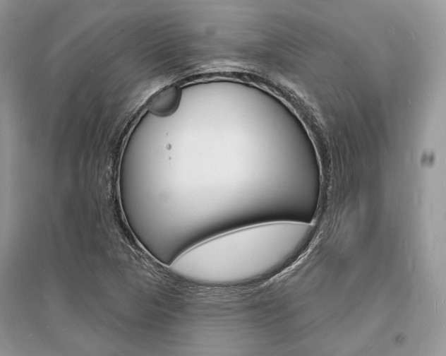 X0000096391313200801241107