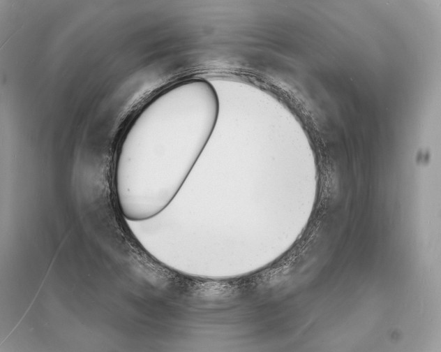 X0000096391314200801241107