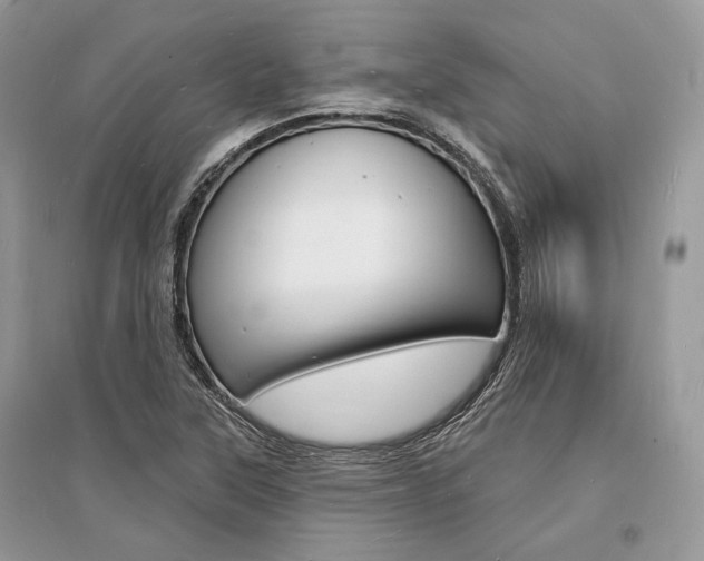 X0000096391315200801241107