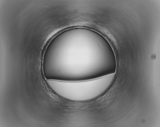 X0000096391316200801241107
