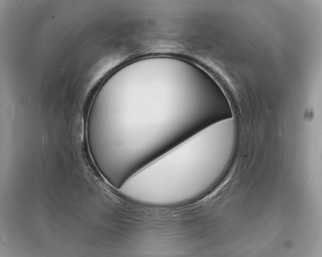 X0000096391317200801241107