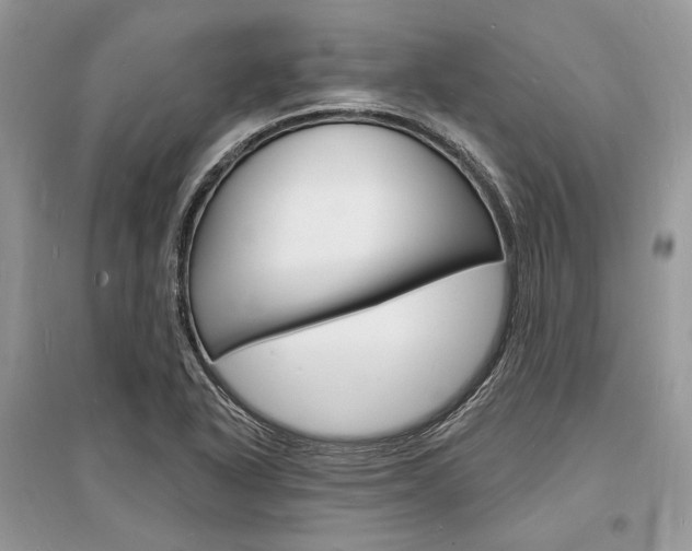 X0000096391318200801241107