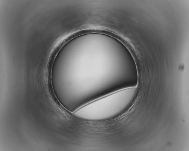 X0000096391319200801241107