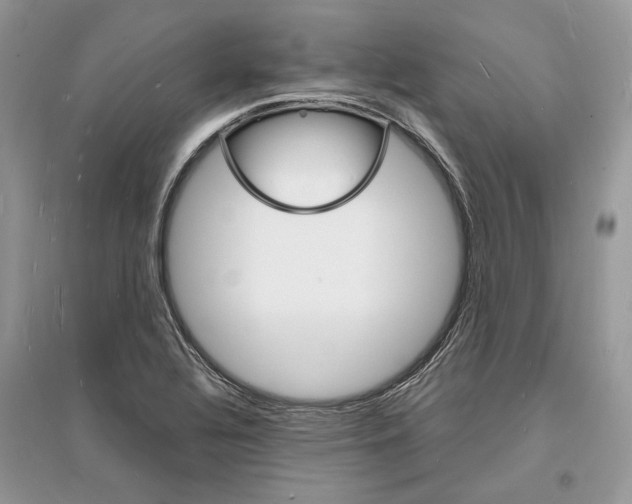 X0000096391320200801241107