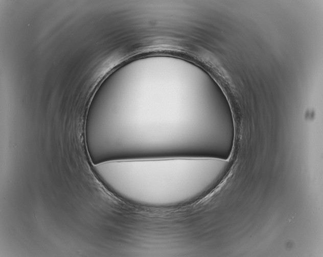 X0000096391321200801241107