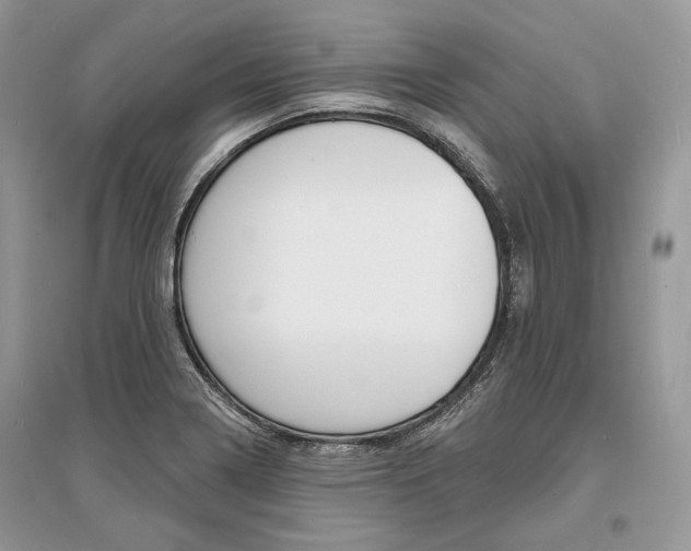 X0000096391322200801241107