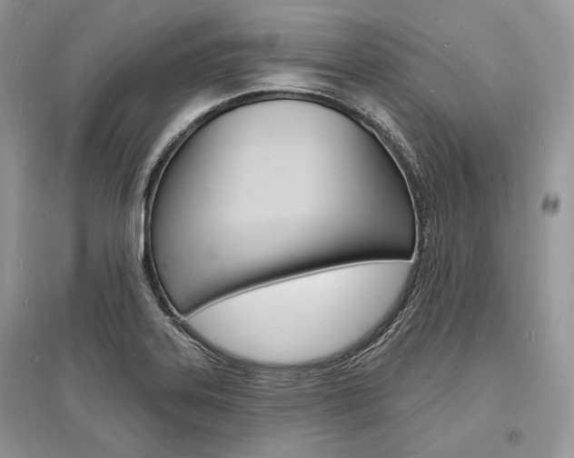 X0000096391323200801241107