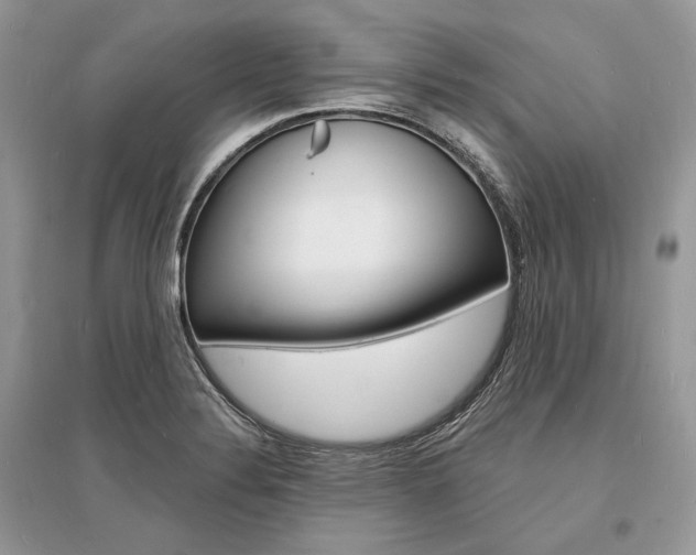 X0000096391324200801241107
