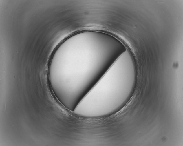 X0000096391325200801241107