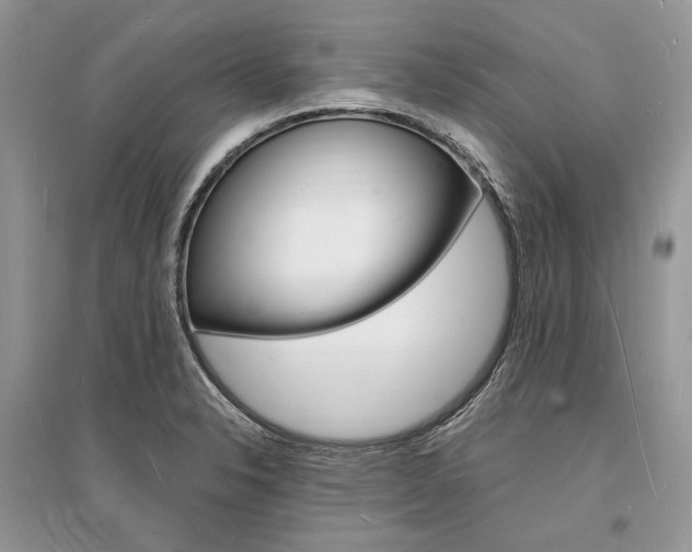 X0000096391326200801241107