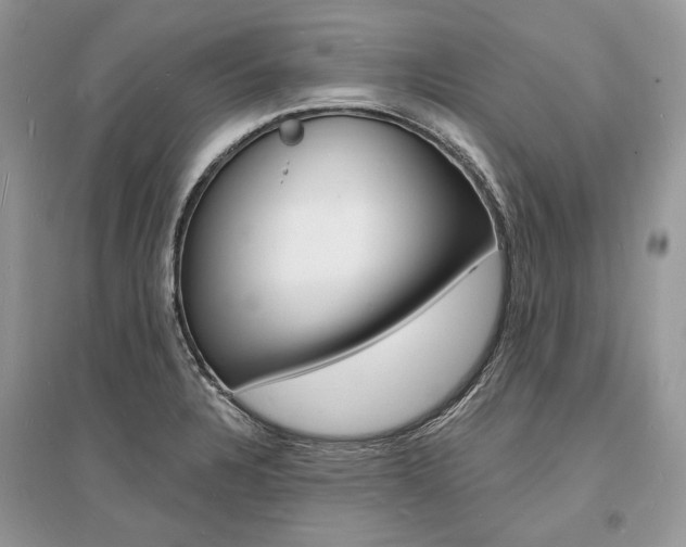 X0000096391328200801241107