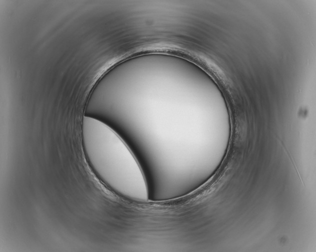 X0000096391329200801241107