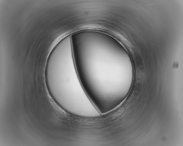X0000096391330200801241107