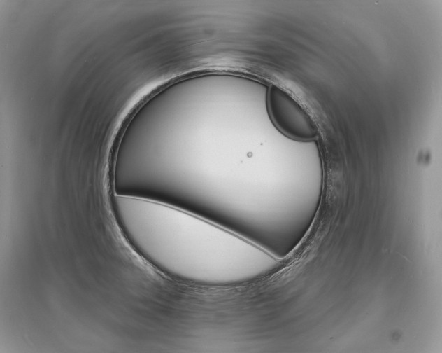 X0000096391331200801241108