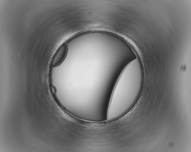 X0000096391333200801241108