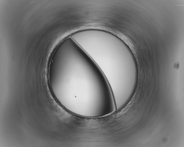 X0000096391334200801241108