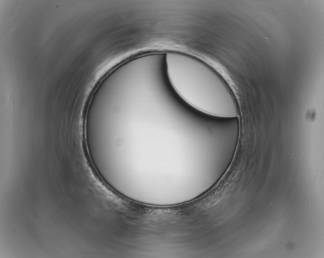 X0000096391335200801241108