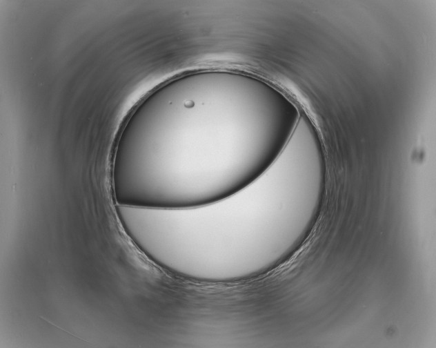 X0000096391336200801241108