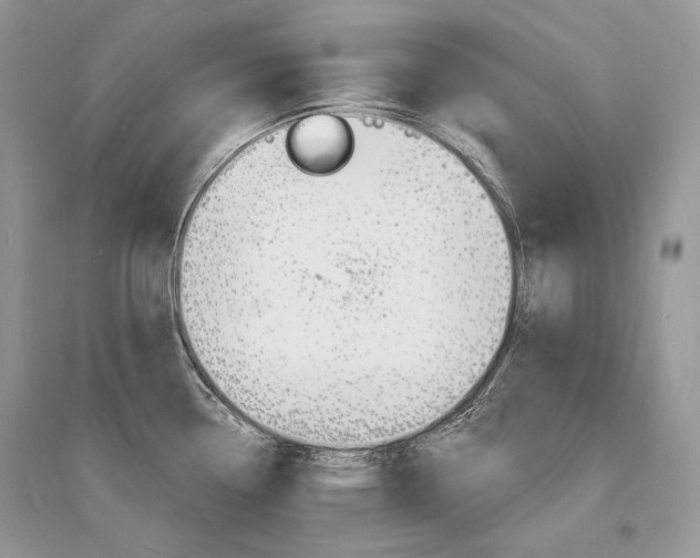 X0000096391338200801241108