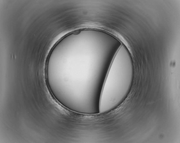 X0000096391339200801241108